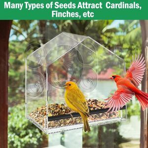 NewWindow Bird Feeder w/3 Extra Strong 2.36'' Suction Cups - 4.4'' Extra Deep